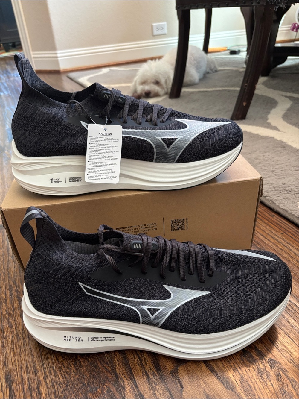 Mizuno Neo Zen